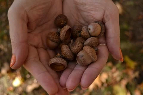Save nature Stock Photos