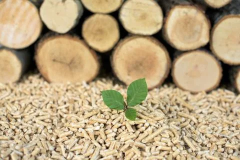 Save the nature - renewable heating materials Stock Photos