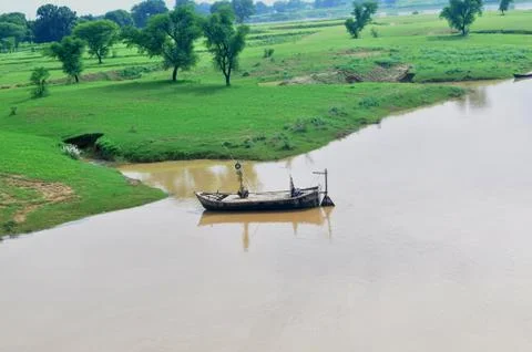 Save nature save future Foto stock