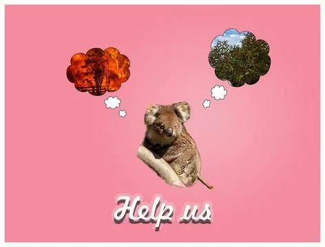Save Our Koalas Stock Illustration