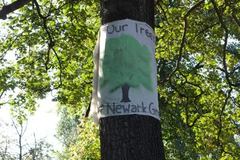 Save our trees Foto stock