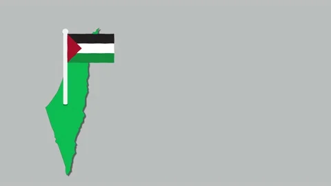 Save Palestine Stock Footage 154282538