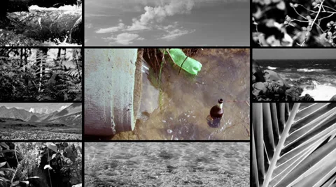 Save the planet Vídeo Stock 33650493