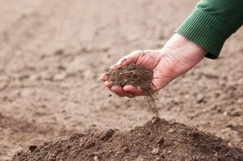Save the soil Foto stock
