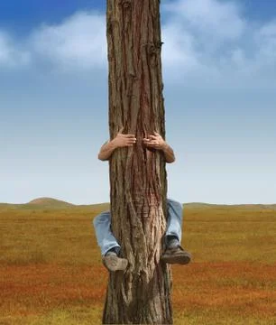 Save a tree Stock-Fotos