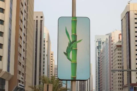 SAVE TREE - SAVE PLANET CONCEPT Stock Photos