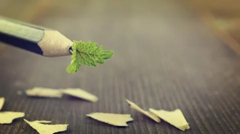 Save the trees and save the earth Fotos Stock