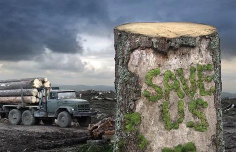 Save the trees! Stock Photos