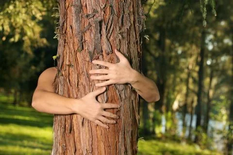 Save the trees Save the environment Stock Photos