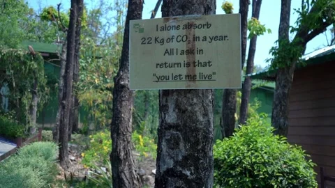 Save Trees Today: Eye-Catching Signboard Concepts Stock Footage 313570708