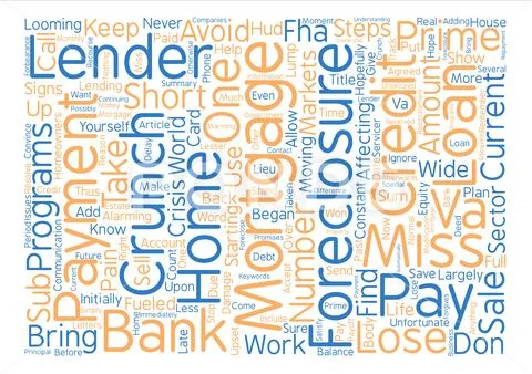 Save Your Home From The Credit Crunch Word Cloud Concept Text Background Stock Illustration
