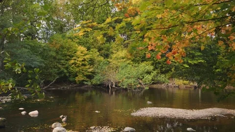 Savean River Fall Scene, Colorful leaves, Gothenburg, Sweden Stock Footage 226150386