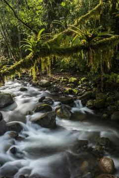 Savegre River (Rio Savegre), San Gerardo de Dota, San Jose Province, Costa Rica Stock Photos