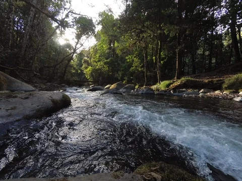 Savegre River, San Gerardo de Dota. Quetzales National Park, Costa Rica. Stock Footage 124592187