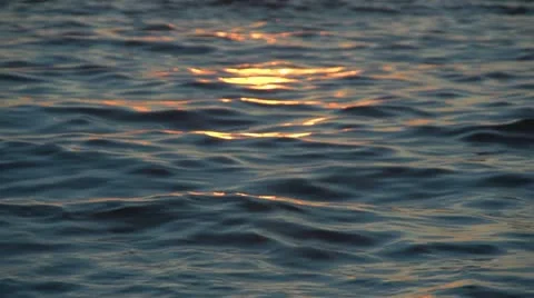 Saves at sunset Stock Footage 11133381