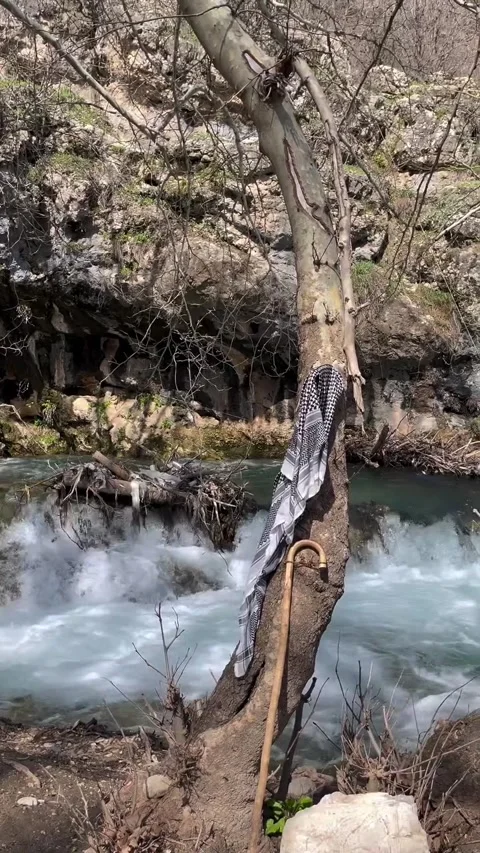 Savethr.com 1785190357103 Stock Footage 340871261