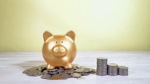 Saving Concept Stock Footage 103554561