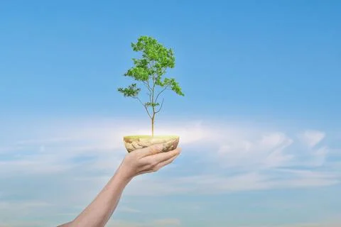 Saving Earth concept. Human hand holding Globe with a tree over blue sky 写真素材