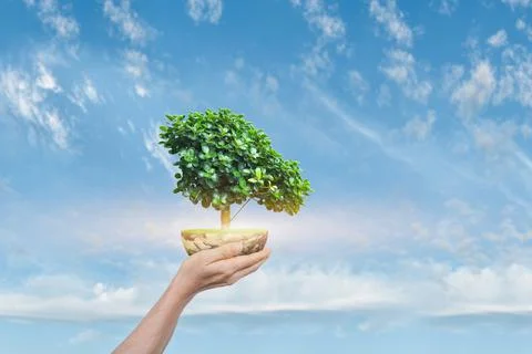 Saving Earth concept. Human hand holding Globe with a tree over blue sky 写真素材