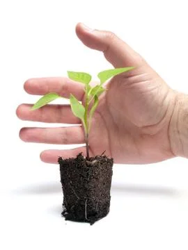 Saving future Stock Photos