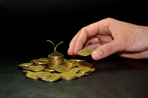 Saving money concept by adding gold coin to a pile of coins with small growth 스톡 사진