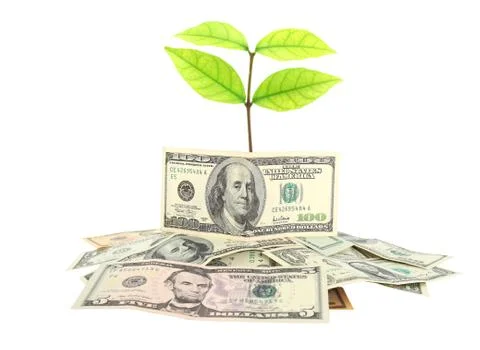 Saving money concept Stock Photos