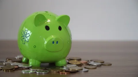 Saving Money for Future Stock Footage 87077013