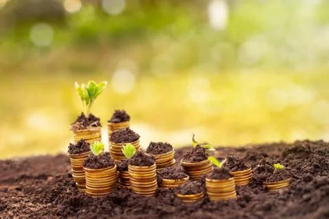 Saving money for future Stock Photos