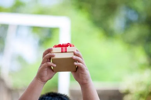 Saving money for the future 写真素材