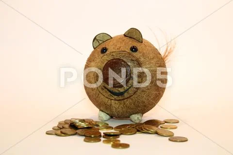 Saving Pig Stock Photos
