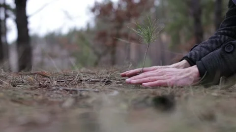 Saving plants Stock Footage 51859530