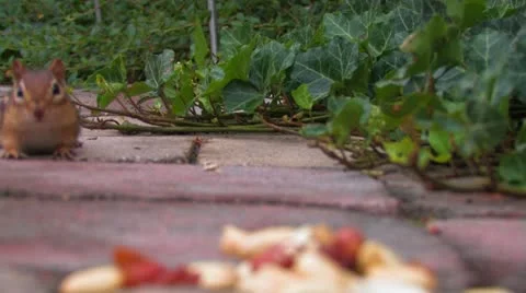 Saving for a rainy day Stock Footage 12431121