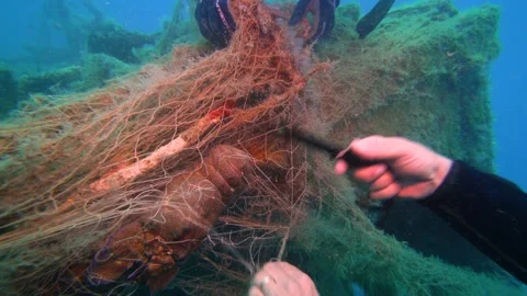 Saving the Slipper Lobster From Ghost Net Under the Sea Stock Footage 143480670