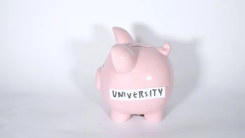Saving for University Stock Footage 83125085