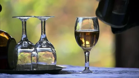 Savoring the whiskey alone Stock Footage 261640810