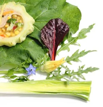 Savory appetizer Stock Photos