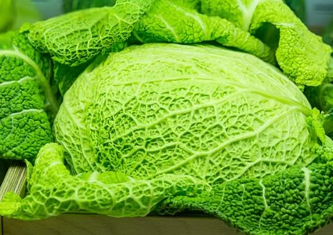 Savoy cabbage close up Stock Photos