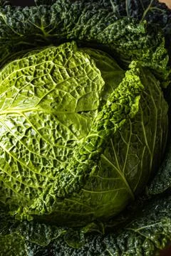 Savoy cabbage close up Stock Photos