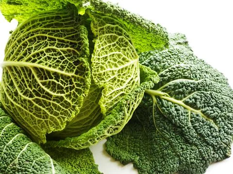 Savoy cabbage closeup Stock Photos