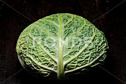 Savoy cabbage on a dark background close-up Stock Photos