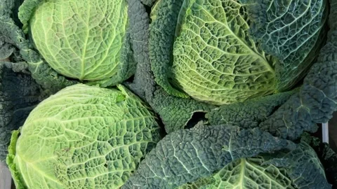 Savoy cabbage exposed in crate at greengrocer's Stock Footage 306604604