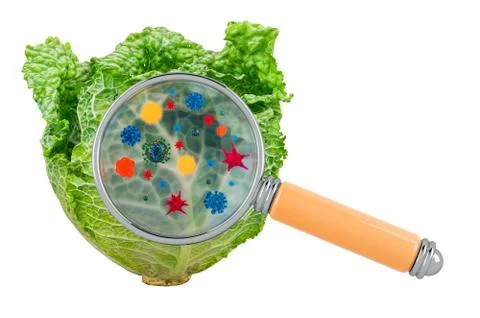 Savoy cabbage with germs, microbes or viruses under magnifying glass, 3D rend Stock Illustration