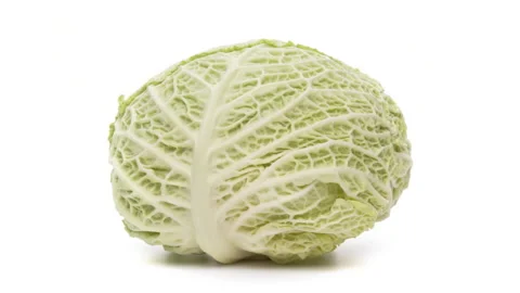 Savoy cabbage head rotating on white background. Stock Footage 170255918