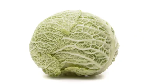 Savoy cabbage head rotating on white background. Water drops on the leaves. Stock-Footage 170264355