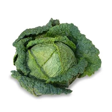 Savoy cabbage isolated on white background Foto stock
