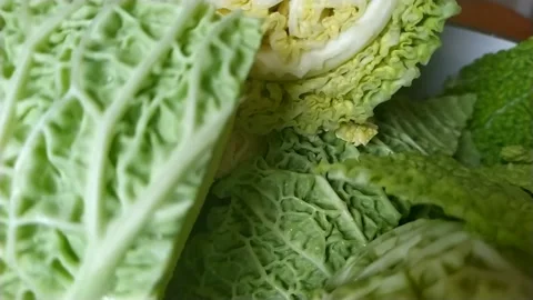 Savoy cabbage in a kitchen bowl Stock Footage 147865793