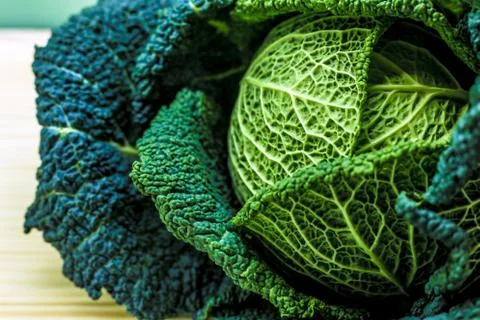 Savoy cabbage in the kitchen Stock Photos