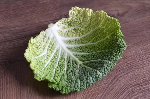 Savoy cabbage leaf Stock Photos