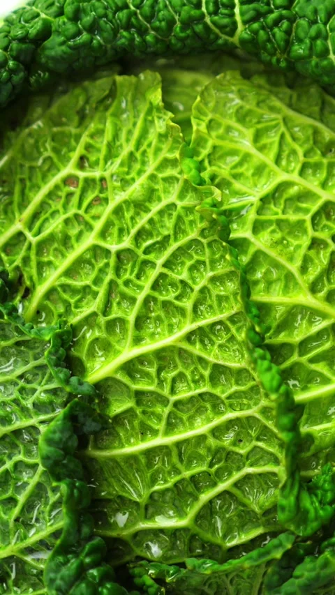 Savoy cabbage macro. Food background. Rotating vegetables. Vertical   Stock Footage 316335499