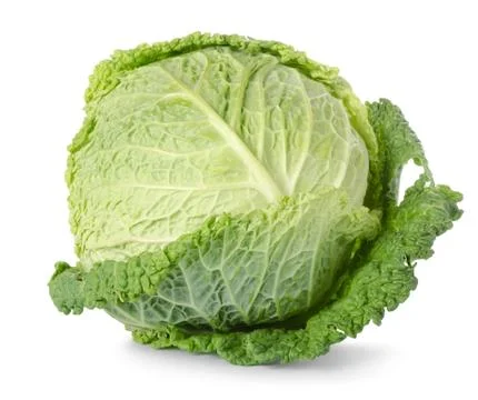 Savoy cabbage Stock Photos